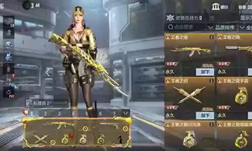 王者之翎怎么搭配阵容