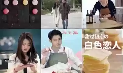 逆境突袭阵容搭配攻略图