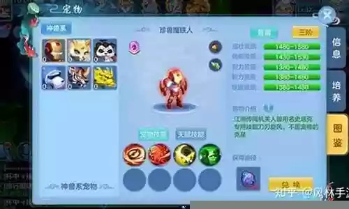天书奇谈最强金龙阵容搭配
