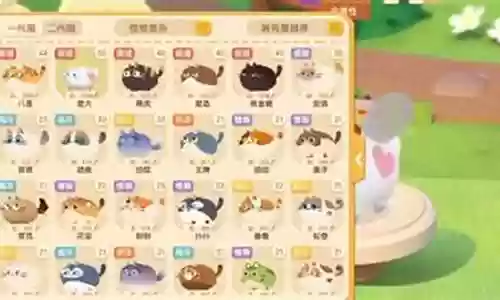 不同阵容猫咪搭配图片大全插图