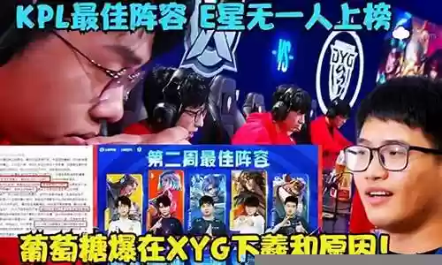葡萄最佳阵容搭配视频
