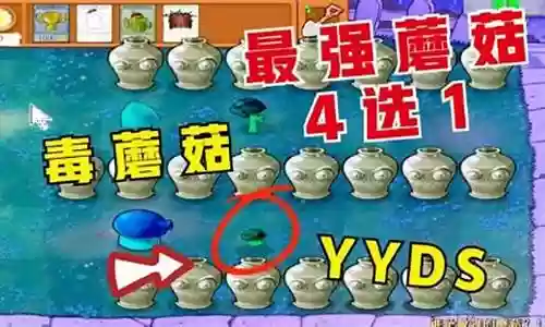 最强蘑菇阵容搭配攻略视频