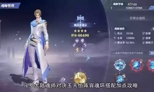 玉天恒魂环搭配阵容