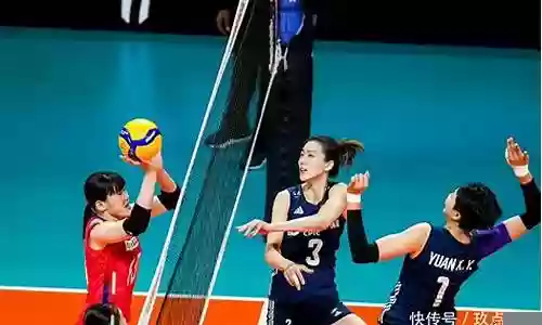 未来女排阵容搭配图文解释插图