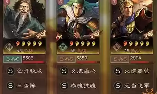 陆逊姜维阵容搭配最新