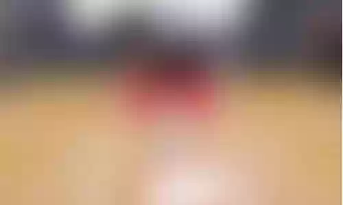 新内核王朝阵容搭配攻略