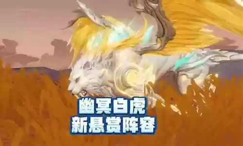 幽冥白虎悬赏怎么搭配阵容