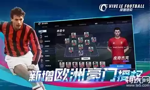 绿荫信仰阵容应该怎么搭配