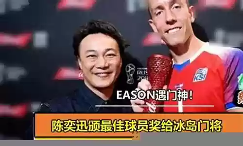 最佳球员冰岛门将阵容搭配