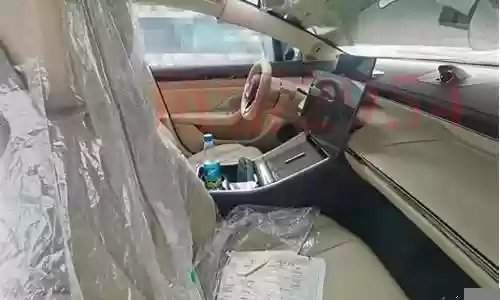 s7猫咪阵容搭配