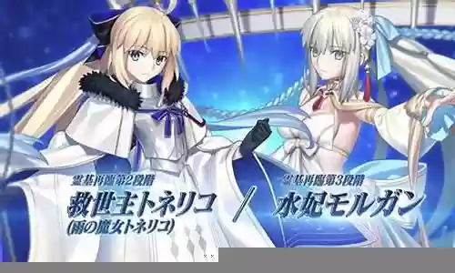 fgo 白贞阵容搭配 2018插图