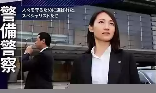 安倍保镖阵容搭配图片大全