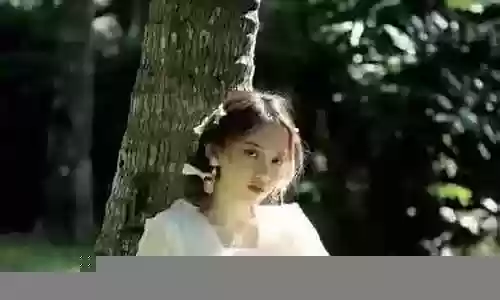 金木炫舞搭配阵容