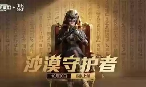 沙漠守护者搭配阵容