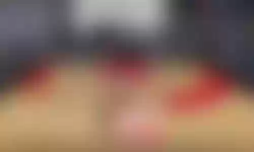 经理巴特勒阵容搭配