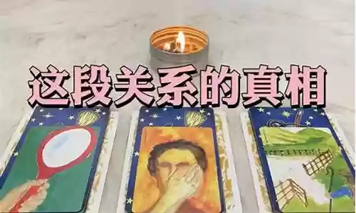 男女解说塔罗阵容搭配