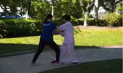 拳脚切磋阵容搭配图片高清