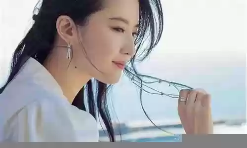 玫瑰故事阵容搭配攻略视频