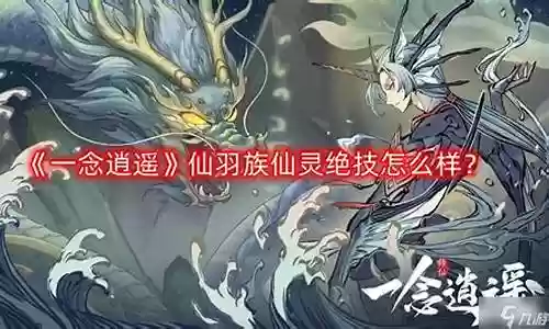 仙羽绝技怎么搭配阵容