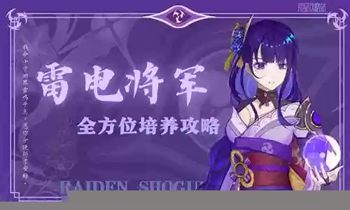 雷电将军大佬阵容搭配最强