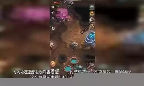 觉醒宠物推荐阵容搭配图