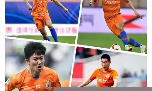 鲁能引援阵容搭配表