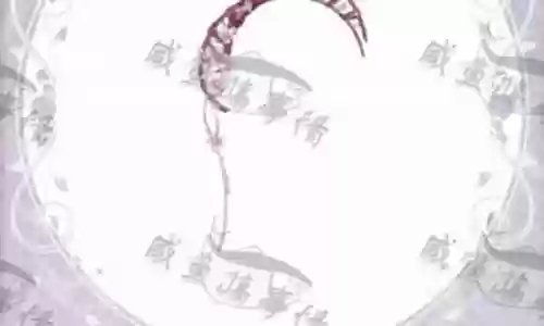 圣洁之冠怎么搭配阵容最强