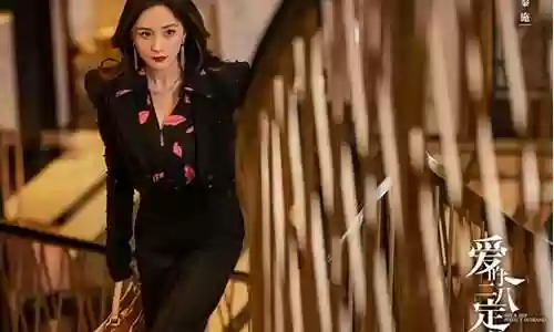 杨幂二八定律阵容搭配