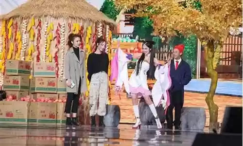 语言节目阵容搭配表图