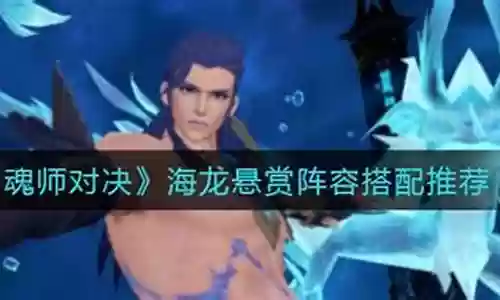 海龙悬赏阵容魂环搭配