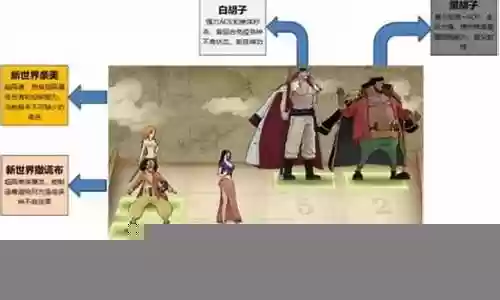 航海王罗宾阵容搭配插图
