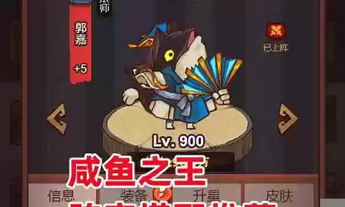 综艺娱乐之王阵容搭配最新