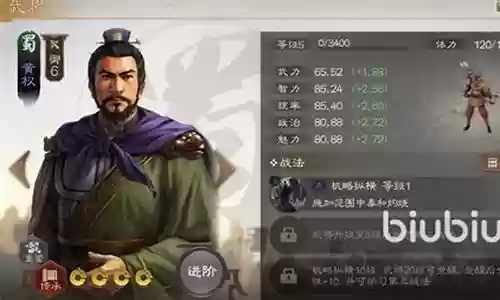 计略纵横战法搭配推荐阵容