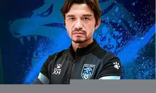 谢晖最佳主帅阵容搭配