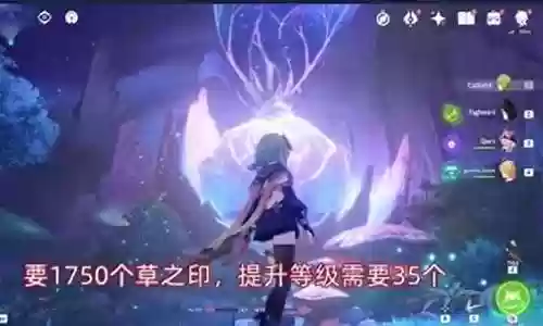 须弥阵容体系搭配图片