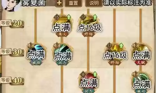 燃烧的意志雷利阵容搭配