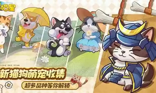 迷你狗狗阵容搭配推荐图