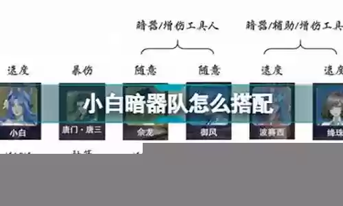 小白队怎么搭配阵容好看
