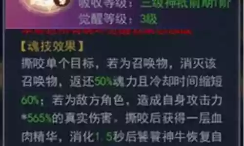 尘心小白pk阵容魂环搭配