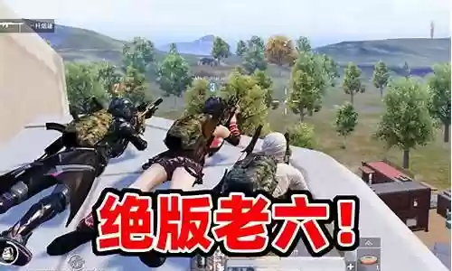 老六之神怎么搭配阵容