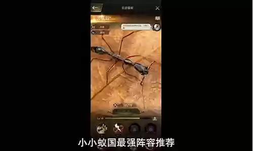 橙色特化蚁怎么搭配阵容