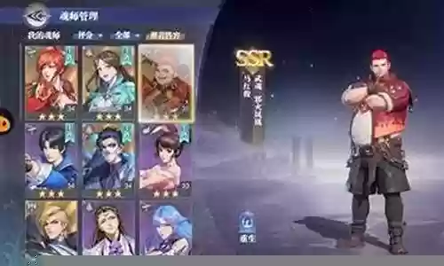 胖子魂环搭配和阵容