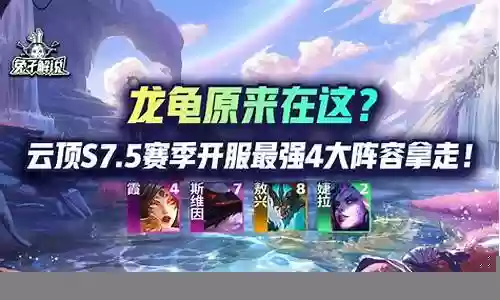 最强龙龟阵容搭配攻略