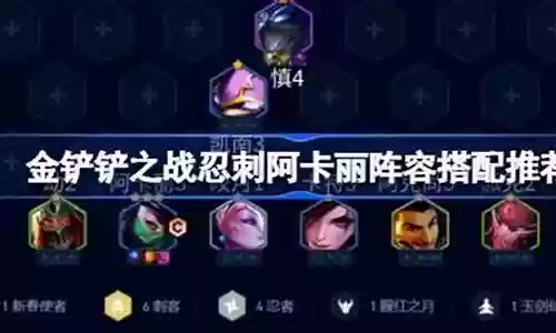 阿忍阵容搭配推荐图插图