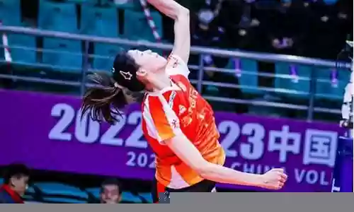 李盈莹阵容搭配图片