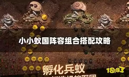 射手小小蚁国阵容搭配