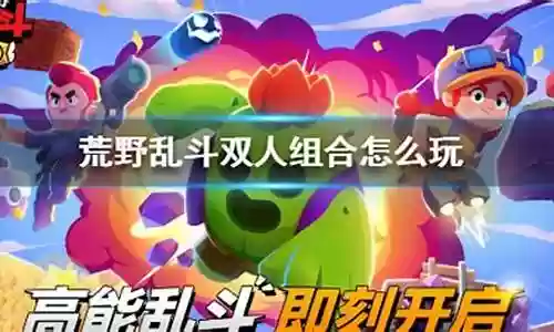 双人荒野乱斗搭配阵容