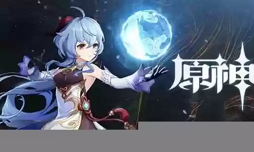 原神公主搭配阵容推荐插图