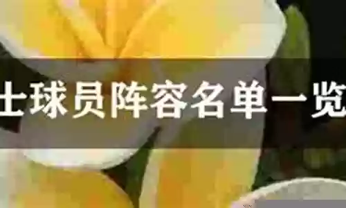 勇士球员星座阵容搭配图