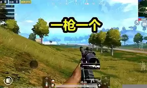 刺激战场稳定阵容搭配
